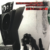 Flaming Lips - Transmissions From The Satellite Heart (Grey Vinyl) (Rocktober 2020)
