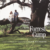 OST - Forrest Gump (Score)