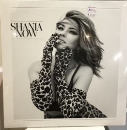 Shania Twain - Now