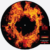 U2 - Fire (40th Anniversary Edition/Picture Disc) (Rsd)