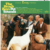The Beach Boys - Pet Sounds 180g 2LP 45RPM (stereo) - QRP