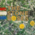 Stone Roses - The Stone Roses