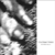Cocteau Twins - Blue Bell Knoll (Vinyl Lp)