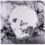 Radiohead - A Moon Shaped Pool