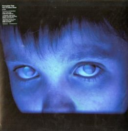 Porcupine Tree - Fear Of A Blank Planet (2LP)