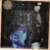 Dum Dum Girls - Too True