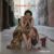 Madeleine Peyroux - Careless Love Deluxe Edition 3LP