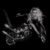 Lady Gaga - Born This Way - The Tenth Anniversary (3LP)