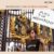 Morrissey - Low In High School - Spanish Version (Colored Vinyl Lp)