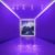 Fall Out Boy - MANIA