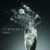 Various Artists - Champagner & Songs (CD)