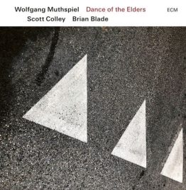 Wolfgang Muthspiel, Scott Colley, and Brian Blade - Dance Of The Elders