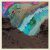 St. Paul & The Broken Bones - Alien Coast