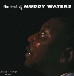 Muddy Waters - Best Of Muddy Waters