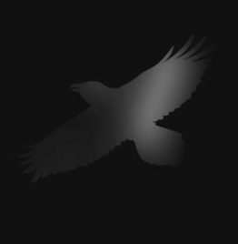 Sigur Rós - Odin's Raven Magic