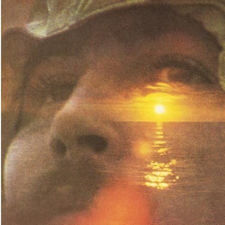 David Crosby - If I Could Only Remember My Name (Atlantic 75, 180g 2LP 45RPM)