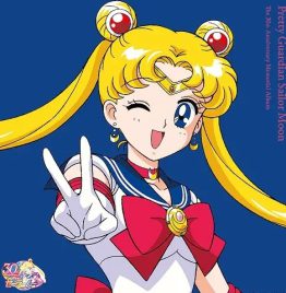 Various Artists - 美少女戦士セーラームーン The 30th Anniversary Memorial Album(2LP)