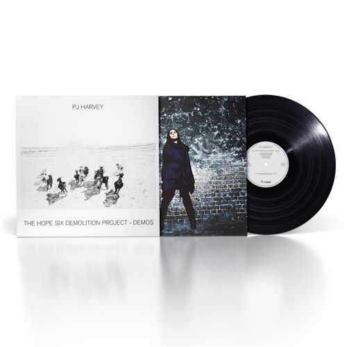 PJ Harvey - Hope Six Demolition Project - Demos