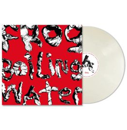 DIIV - Frog In Boiling Water