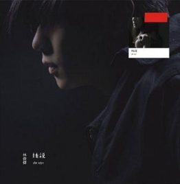 林俊杰 – 她说 ( 黑胶唱片)