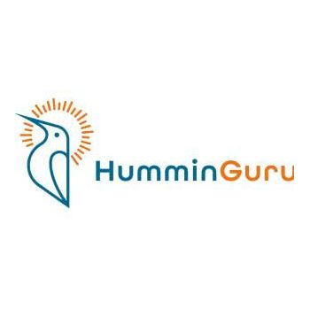 HumminGuru NOVA Advanced Ultrasonic Vinyl Record Cleaner