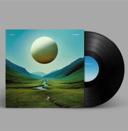 Tycho - Infinite Health