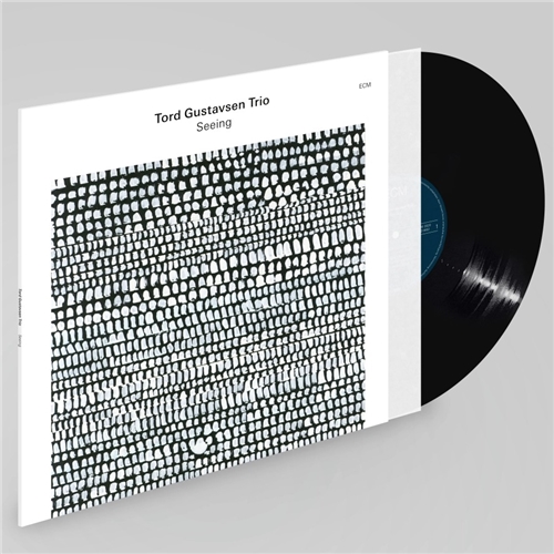 Tord Gustavsen Trio - Seeing