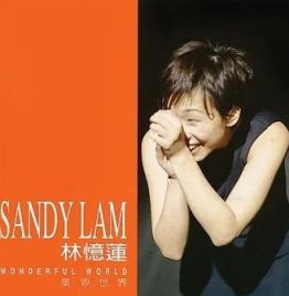 林忆莲 - 美妙世界 (Wonderful World) (黑胶唱片)
