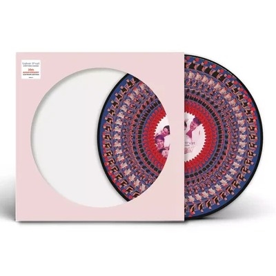 Take That - Everything Changes (Zoetrope Picture Disc)