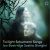 Ian Bostridge, Saskia Giorgini - Twilight Schumann Songs (CD)