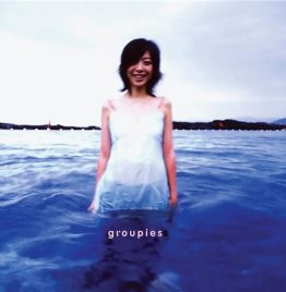 陈绮贞 Cheer Chen - Groupies 吉他手 (限量图胶唱片)