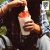 Waxahatchee - Much Ado About Nothing B/W Mud 7-inch (RSD 2025)