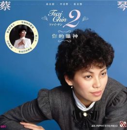蔡琴 - 蔡琴 2 你的眼神 45RPM LP