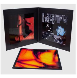 Patricia Barber - Modern Cool (2LP)