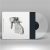 Katie Melua - Album No. 8