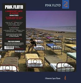 Pink Floyd - A Momentary Lapse Of Reason