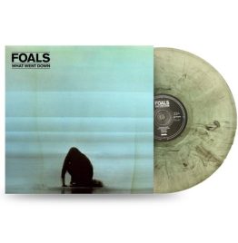 Foals - What Went Down (10th Anniversary Color Vinyl)