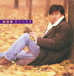 刘德华 Andy Lau - 来生缘 180G LP