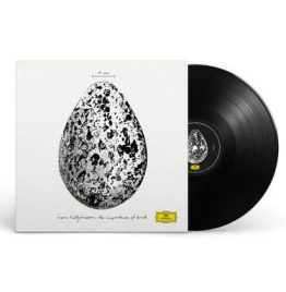 Snorri Hallgrimsson - Importance Of Birds (EP)