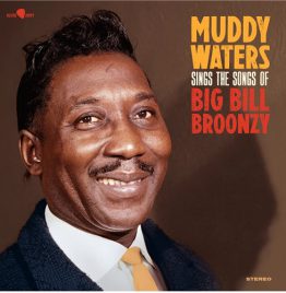 Muddy Waters - Sings Big Bill