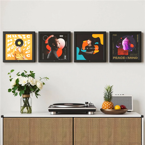 HumminGuru Wall Display Record Frame (Set of 4)