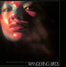 Jiro Inagaki & Soul Media - Wandering Birds [Clear Purple Vinyl] (LP)