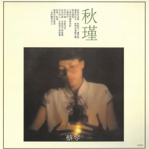 蔡琴 Tsai Chin - 想你的时候 180G LP