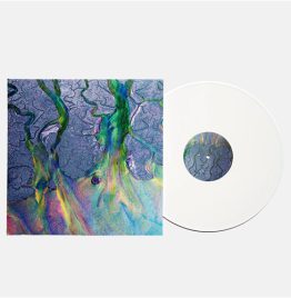Alt-J - An Awesome Wave (2022, White Vinyl)