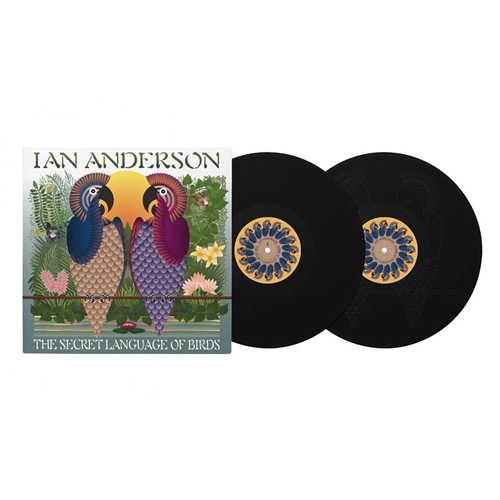 Ian Anderson - Secret Language Of Birds